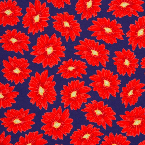 French Terry, Margarita blau/rot
